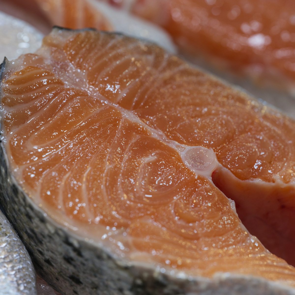 Fresh Salmon Fillet